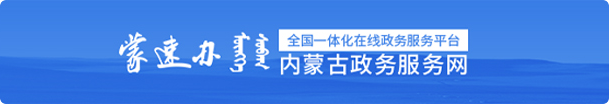 內蒙古政務服務網